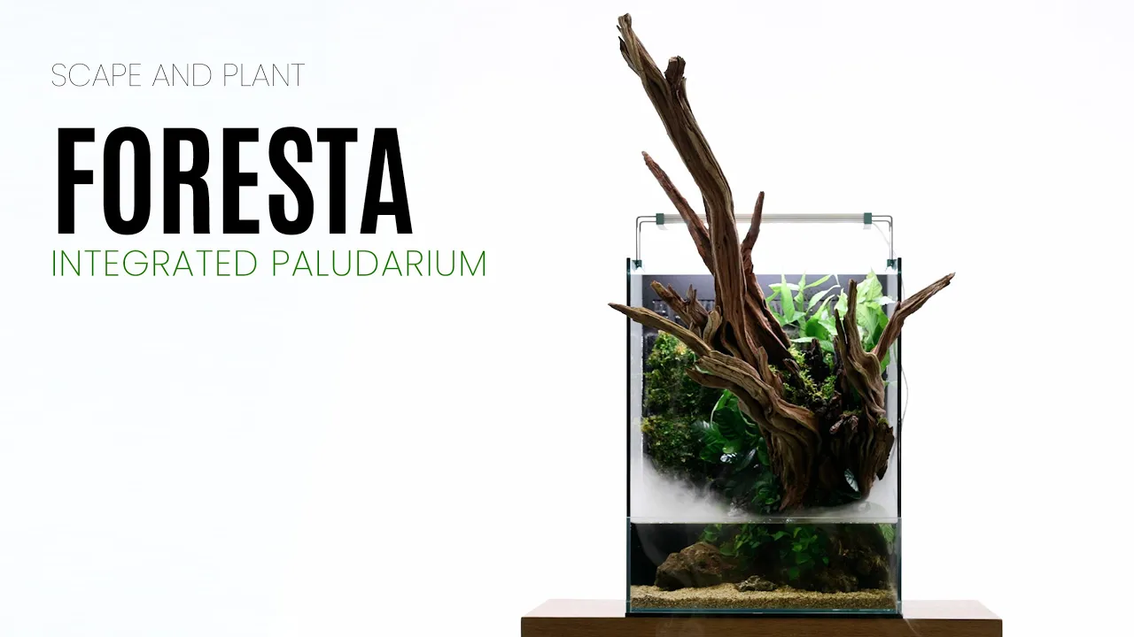 UNS Foresta 35E Integrated Paludarium